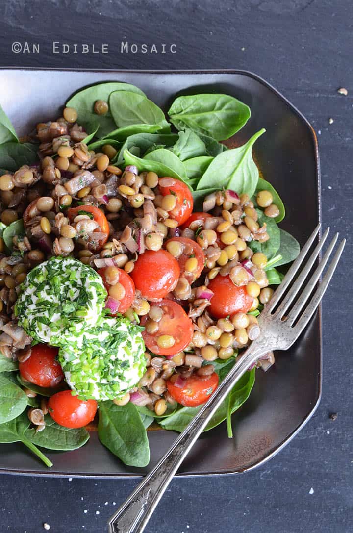 Lentil Salad Recipe with Herbed Goat Cheese and Balsamic Vinaigrette ...