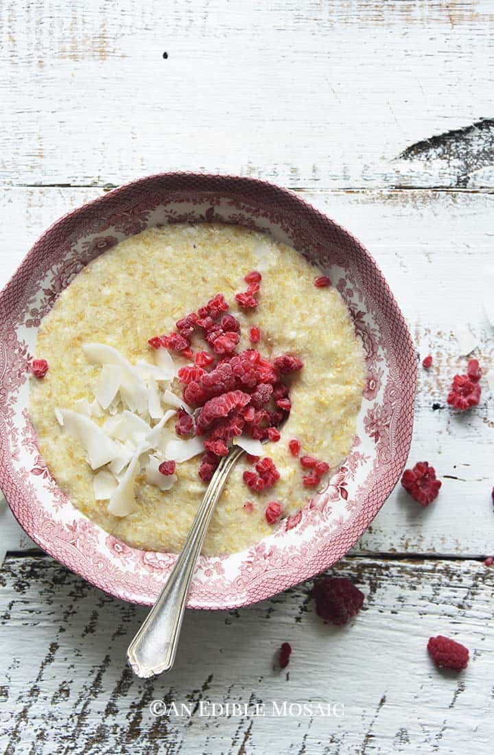 Keto Oatmeal with Coconut and Red Raspberries in Red and White Bowl