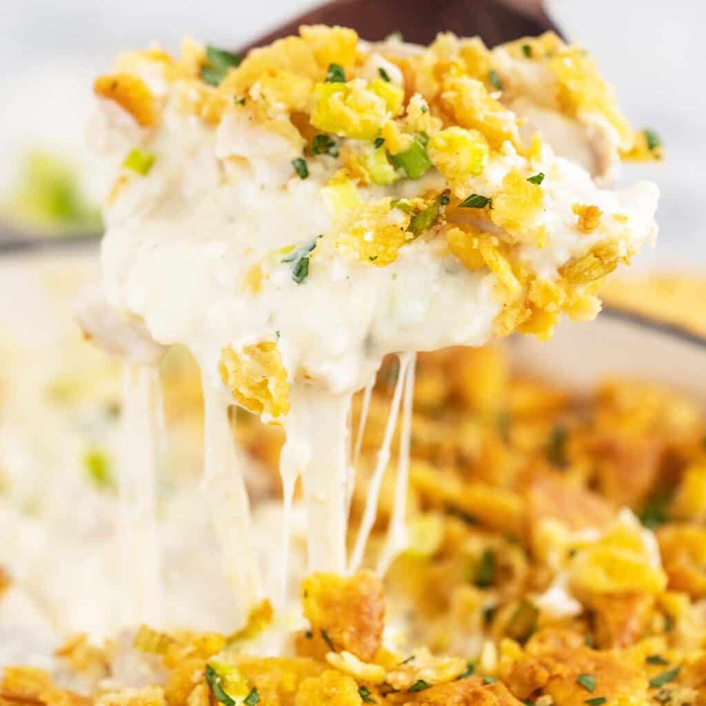 Million Dollar Ritz Chicken Casserole Recipe {video} - An Edible Mosaic™