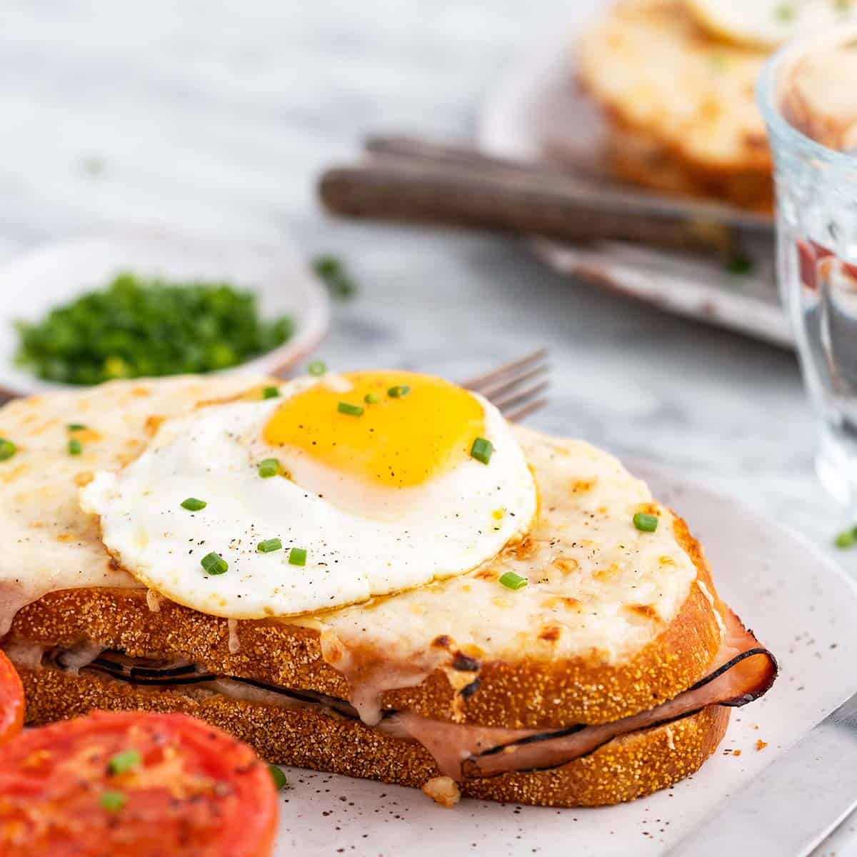 Fried Cheese with Warm Tomatoes - An Edible Mosaic™